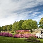 Rhododendronpark i Brønderslev